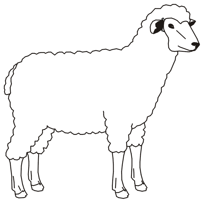 Coloriage mouton