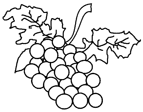 Coloriage raisins